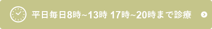 平日毎日8時-13時、17時-20時まで診療