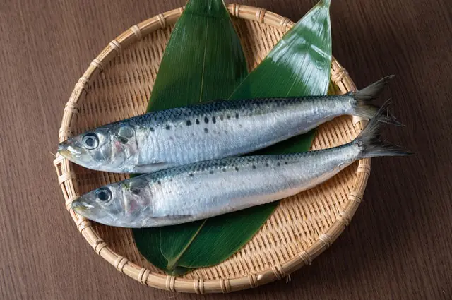 魚